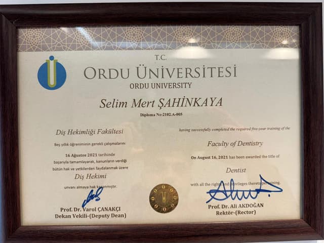 Stomatoloji birliği diploması